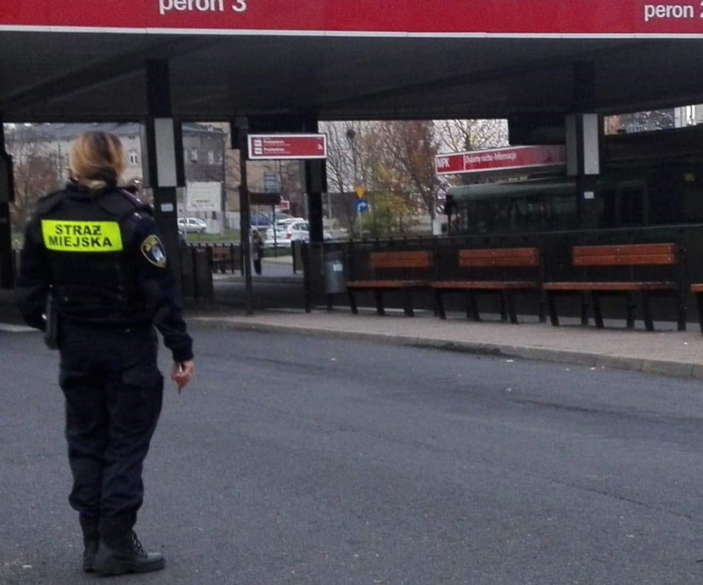 Poznań: Chodził bez maseczki między autobusami! Zareagowała Straż Miejska