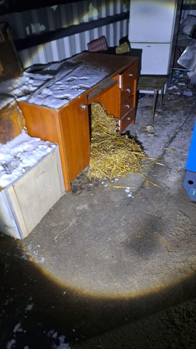 9 psów na terenie oczyszczalni. Interwencja, oskarżenia, śledztwo