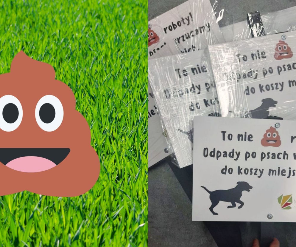 Ząbki: to nie kupa roboty! Fikuśne tabliczki pojawią się w mieście! O co chodzi? [FOTO]