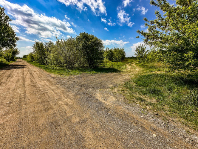 Transport Bartosza G. do kraju. Podejrzany o zabójstwo Mai z Mławy wraca do Polski