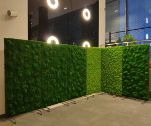 Green Decor