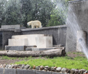 Warszawskie ZOO