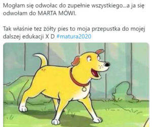 Memy matura 2020