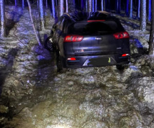 Wypadek na DK 10 pod Bydgoszczą! Jedna osoba poszkodowana [ZDJĘCIA]