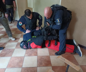 Psy służbowe, szkolenia i strefa pierwszej pomocy. Trwa drugi dzień CERBERUS K9 w Ostrowie