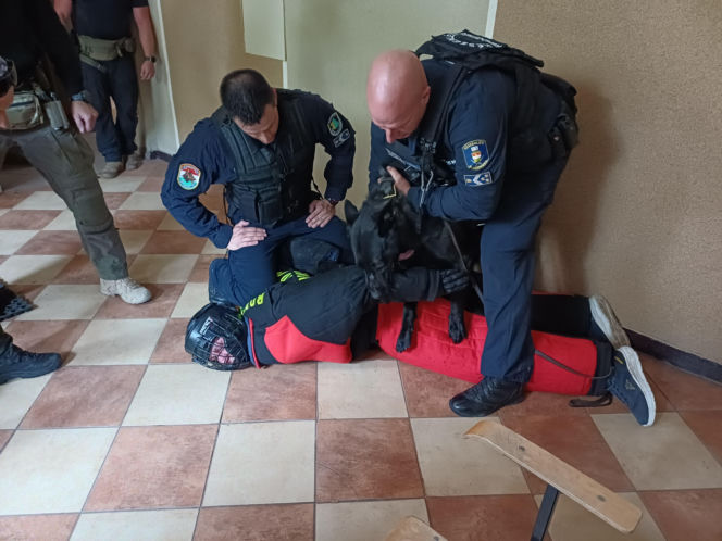 Psy służbowe, szkolenia i strefa pierwszej pomocy. Trwa drugi dzień CERBERUS K9 w Ostrowie
