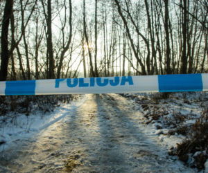 Śmierć w lesie pod Ostrowem. Ciągnik przygniótł mężczyznę! 