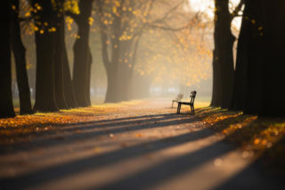 Dramat w Parku Tysiąclecia. Co pchnęło mężczyznę do tak desperackiego kroku?