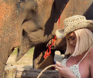 Gwiazdy witają nowy rok w bikini