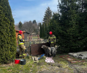 Do pożaru doszło we wtorek, 24 marca, na terenie ogródków działkowych ROD Odnowa przy ul. Cedrowej w Gdańsku