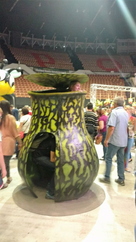 Krwiożercze rośliny opanowały katowicki Spodek! Trwa Festiwal Roślin Owadożernych [ZDJĘCIA, AUDIO]