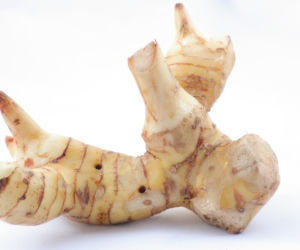 Galangal