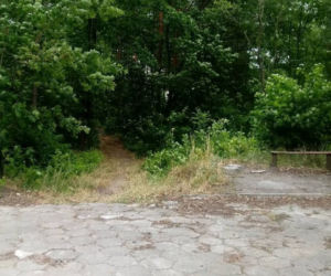 Mężczyzna, który zakopał psa żywcem usłyszał zarzuty