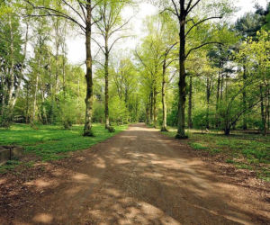 Park Grabiszyński
