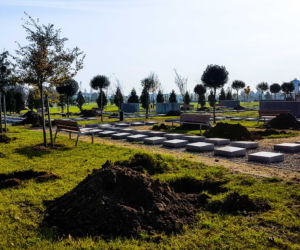 Coraz więcej zieleni na Cmentarzu Zachodnim