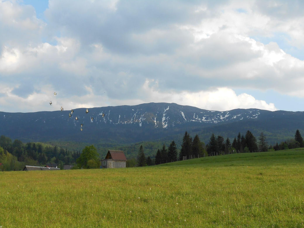 Gmina Zawoja