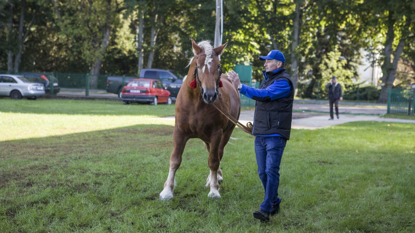 Rolnicy. Podlasie. Premiera 3. sezonu już 14 marca!