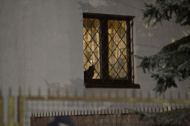 Koty Jarka nas terroryzują