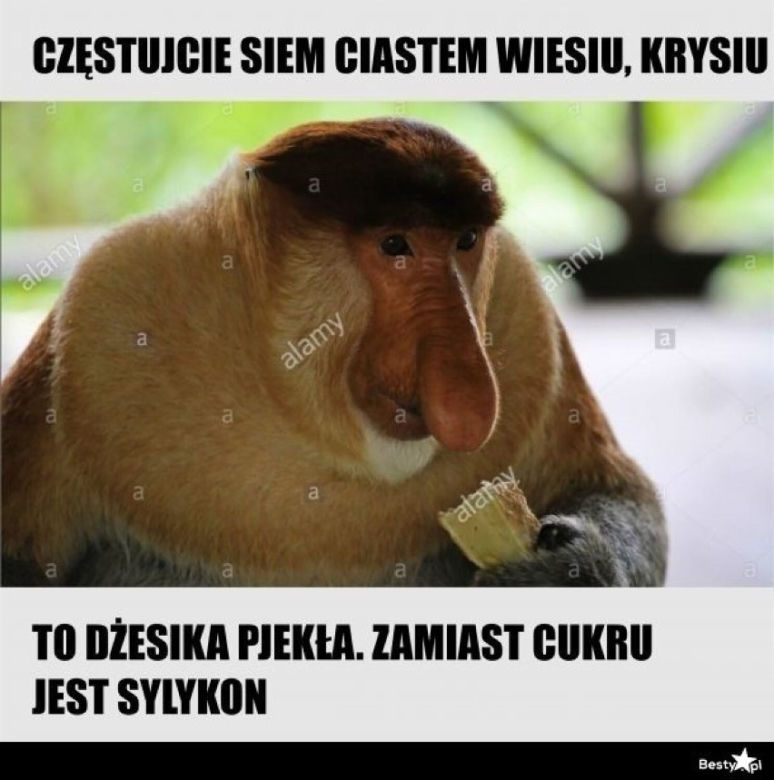 W Polsce brakuje cukru! Internauci tworzą z tej okazji memy