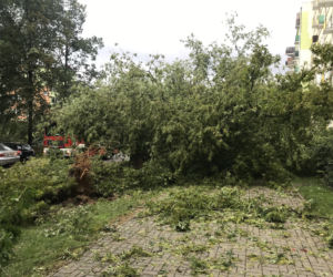Jedną z dzielnic, któa ucierpiała najbardziej był Czechów Południowy