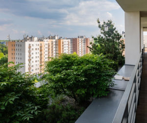 Damrota Garden - apartamentowiec w Katowicach z drzewami na fasadzie i dachu - czerwiec 2026