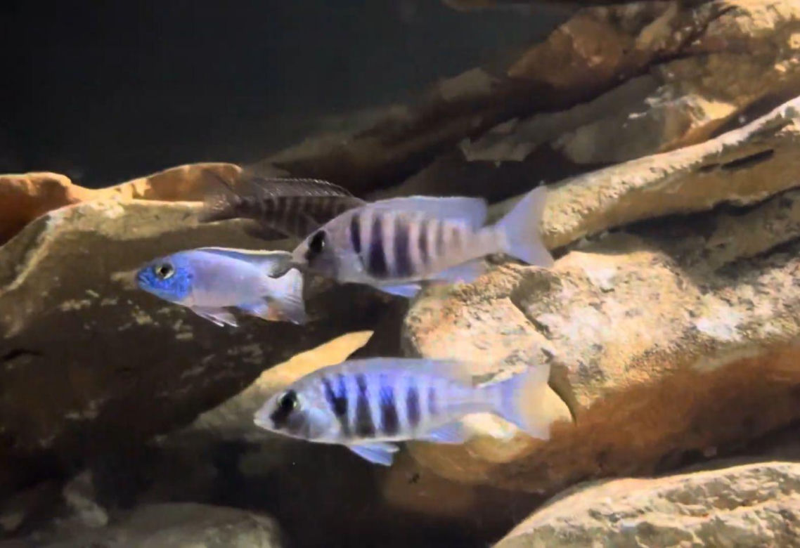 Rozmawiamy z Tomaszem Wiśniewskim, założycielem Aqua Dreams Bydgoszcz