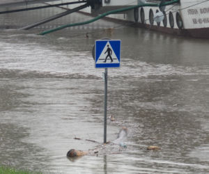 Powódź w Krakowie 24.05.2019: Fala kulminacyjna na Wiśle: zalane bulwary, okropny widok