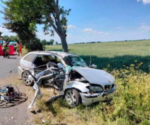 Nie żyje pasażer bmw, a kierowca walczy o życie! Auto roztrzaskało się o drzewo pod Działdowem [ZDJĘCIA]