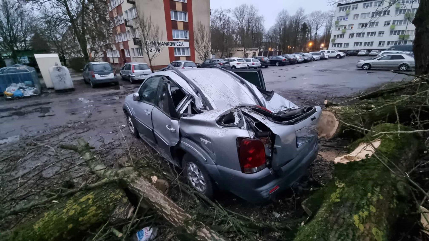 Powalone drzewa uszkodziły zaparkowane samochody