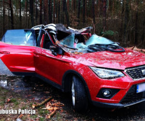 Śmiertelna ofiara wichur nad Polską. W Lubuskiem zginął mężczyzna