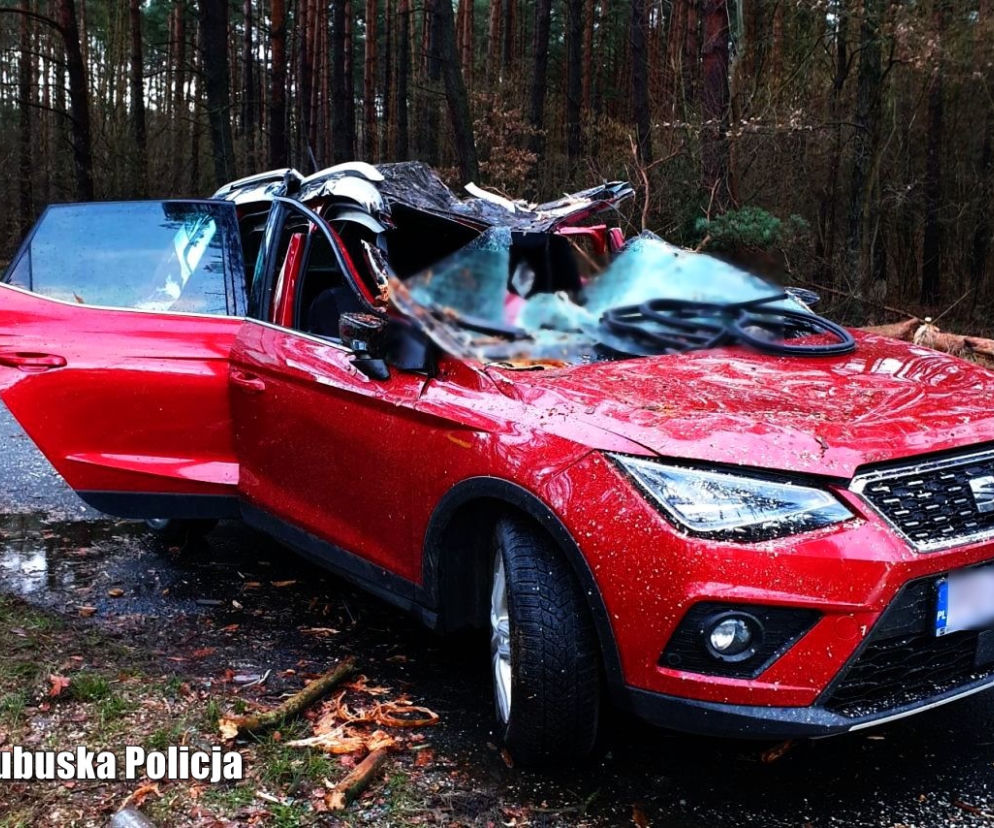 Śmiertelna ofiara wichur nad Polską. W Lubuskiem zginął mężczyzna