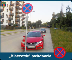 Warszawscy mistrzowie parkowania