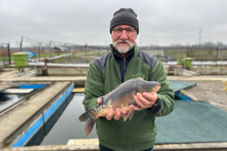 Karp z Rytwian na wigilijnym stole. Sprawdź ceny i dostępność ryb w Świętokrzyskiem