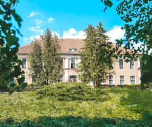 Coś niesamowitego! Rzeźbione schody w opuszczonym pałacu robią ogromne wrażenie [ZDJĘCIA]