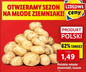 Giga promocje w Lidlu
