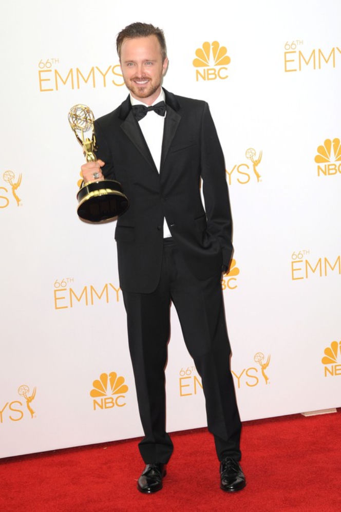  Emmy 2014
