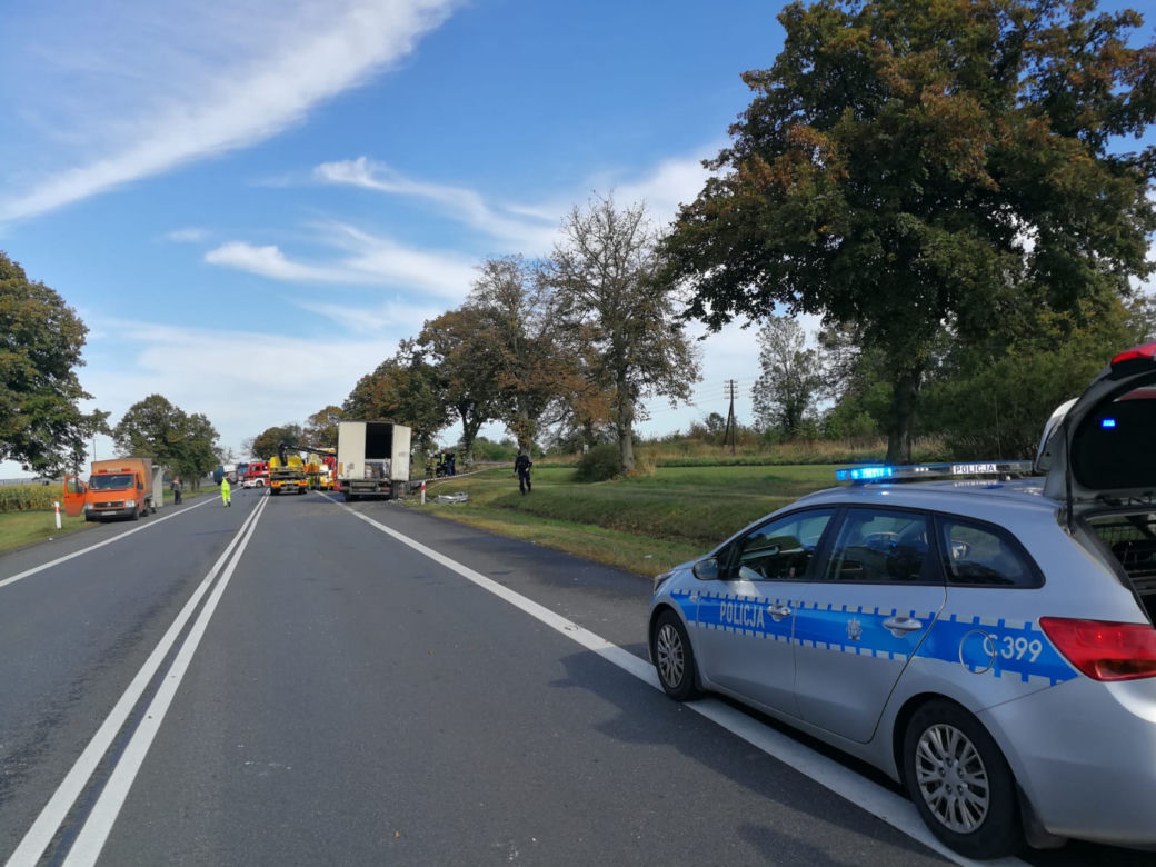 Tragiczny wypadek w Ostaszewie. Nagły manewr i straszna śmierć kierowcy