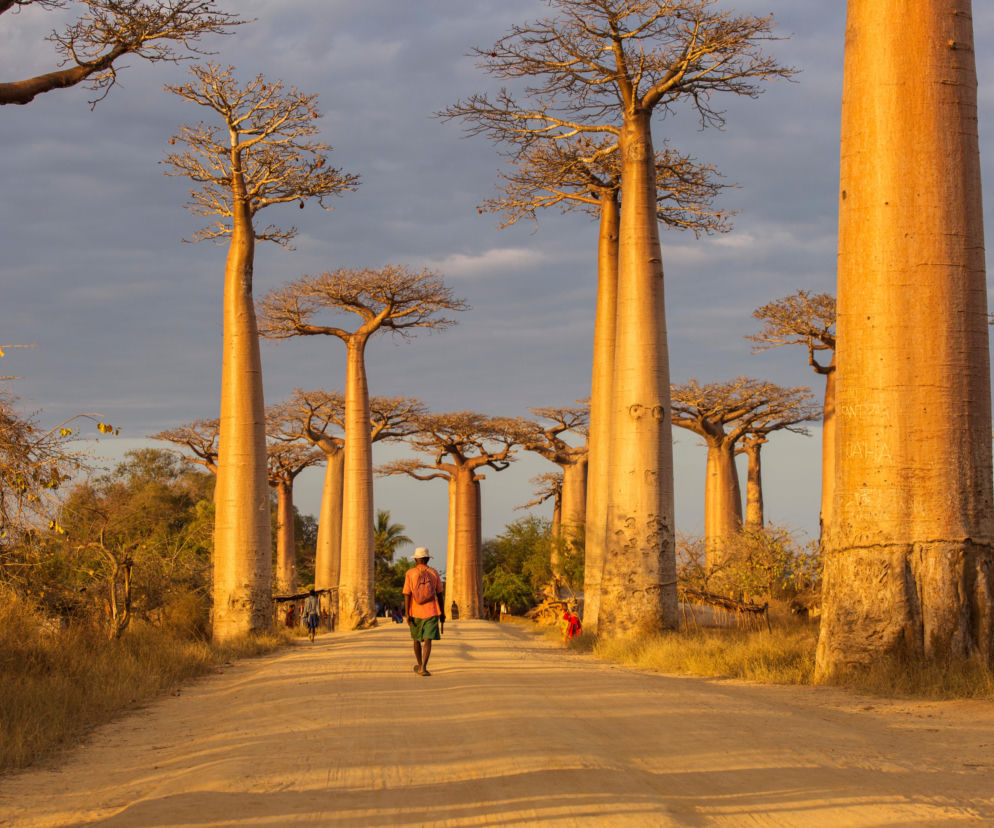 Jak wygląda życie na Madagaskarze?