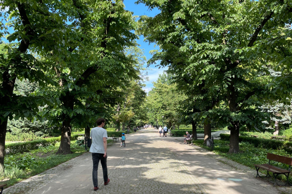 Mokotów