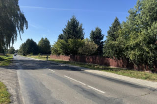 Zakochany łoś na ulicach Lublina. Nic nie robił sobie z samochodów