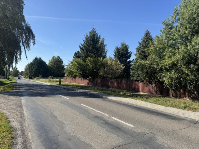 Zakochany łoś na ulicach Lublina. Nic nie robił sobie z samochodów
