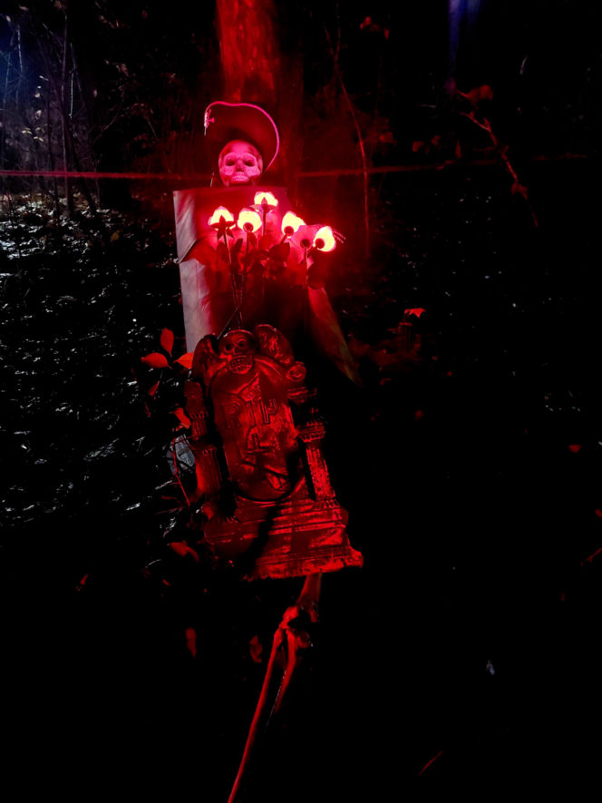 Lumina Park Bydgoszcz