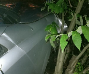 Pijana kobieta niemal doprowadziła do tragedii! Tłumaczyła, że tylko JADŁA OWOCE! 