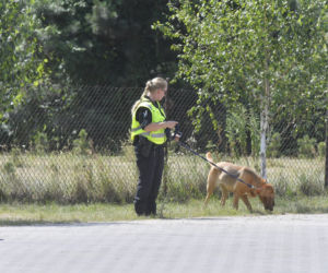 Do poszukiwań Dawidka zostały włączone specjalne psy niemieckiej policji