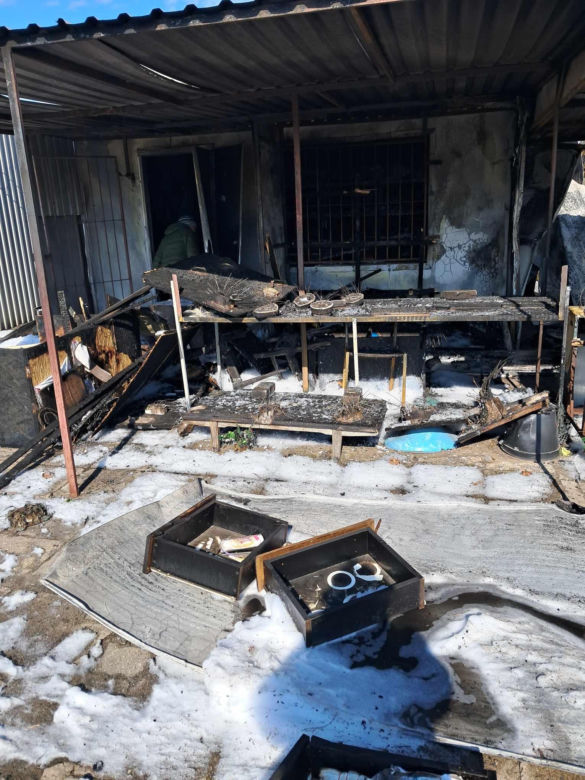 Tragiczny finał pożaru w Toruniu. Ogień pojawił się niespodziewanie, zginął piesek