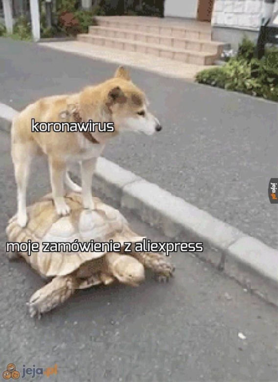 Memy o koronawirusie 2020