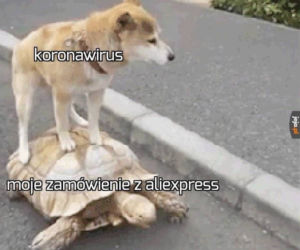 Memy o koronawirusie 2020