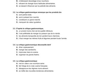 Matura 2021: Język francuski- poziom rozszerzony  [ARKUSZE CKE]