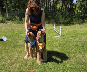 Dogoterapia Kielce