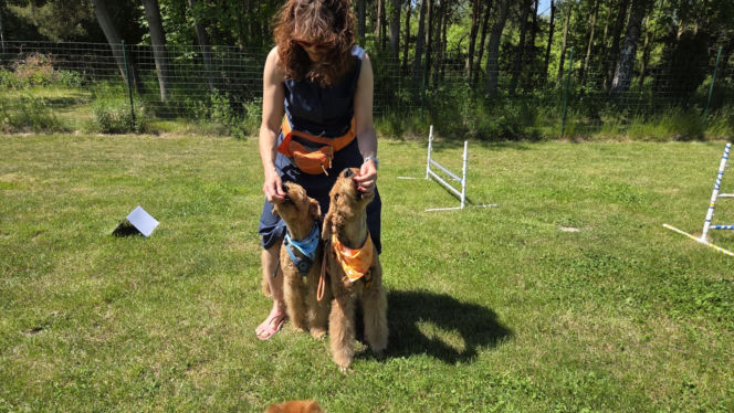Dogoterapia Kielce